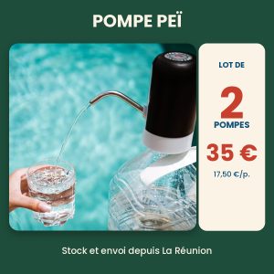 Lot de 2 Pompes à eau